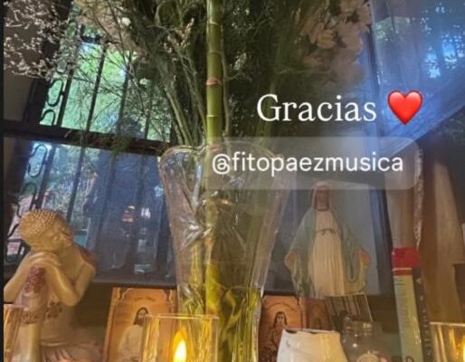 Fabi Cantilo festejó sus 67 años: invitados famosos, el regalo de Fito Páez y el susto que terminó en la guardia