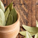 Hojas de laurel y agua tibia: la combinación natural que alivia la fatiga y refresca los pies después de largas jornadas