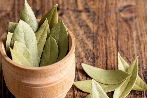 Hojas de laurel y agua tibia: la combinación natural que alivia la fatiga y refresca los pies después de largas jornadas