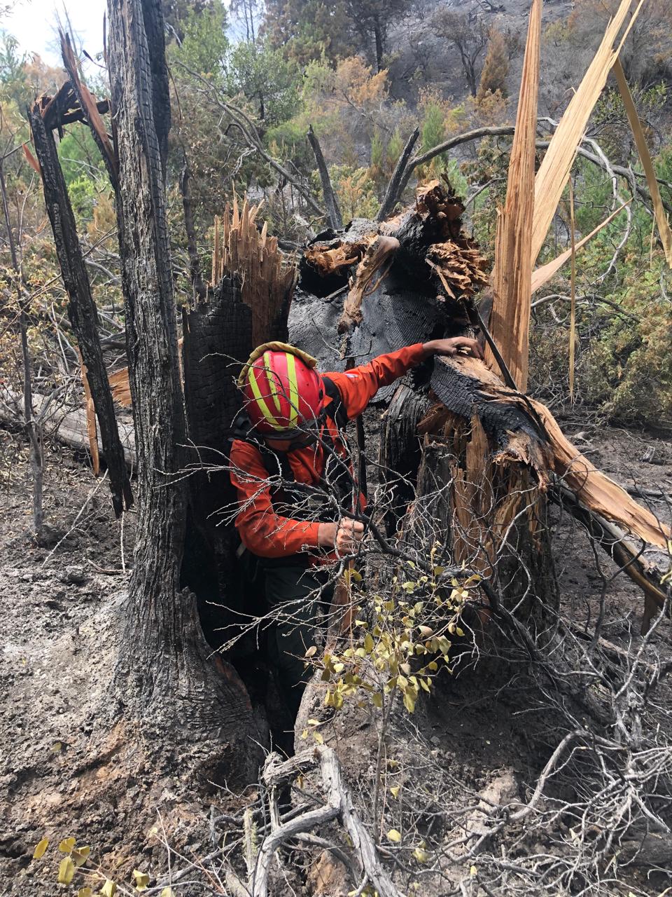 El Comando Unificado coordina acciones con fuerzas nacionales y provinciales en Los Alerces 