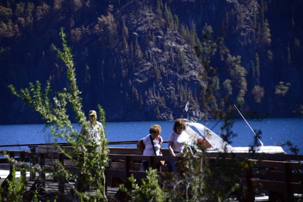 Incendios en Chubut: cómo sigue la lucha de los brigadistas contra los focos activos en el Parque Nacional Los Alerces