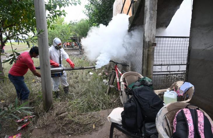 Se realizaron tareas de fumigación y limpieza en La Madrid