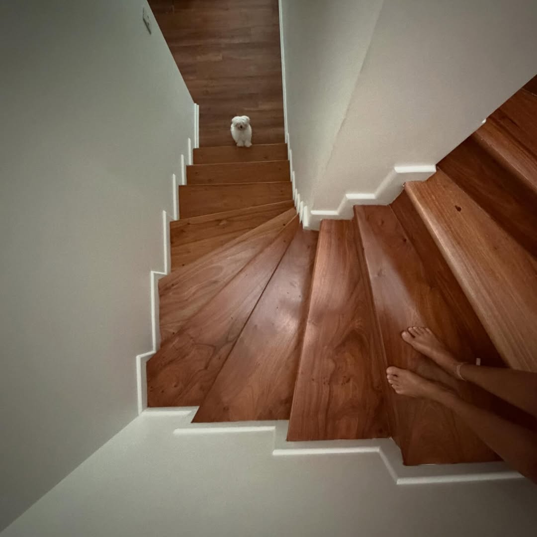 Molly, sentada, en el inicio de las escaleras del hogar