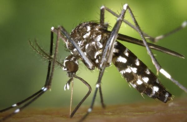 La advertencia de una científica sobre el orden en el que hay que consumir los alimentos