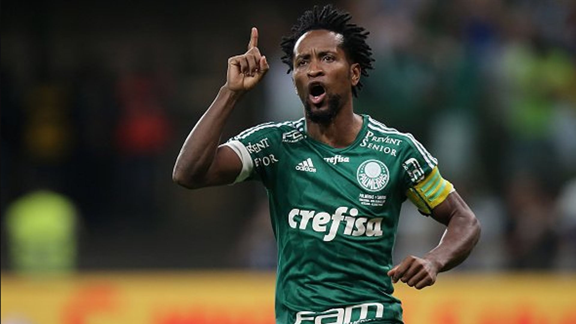 Zé Roberto celebra un gol con la casaca del Palmeiras