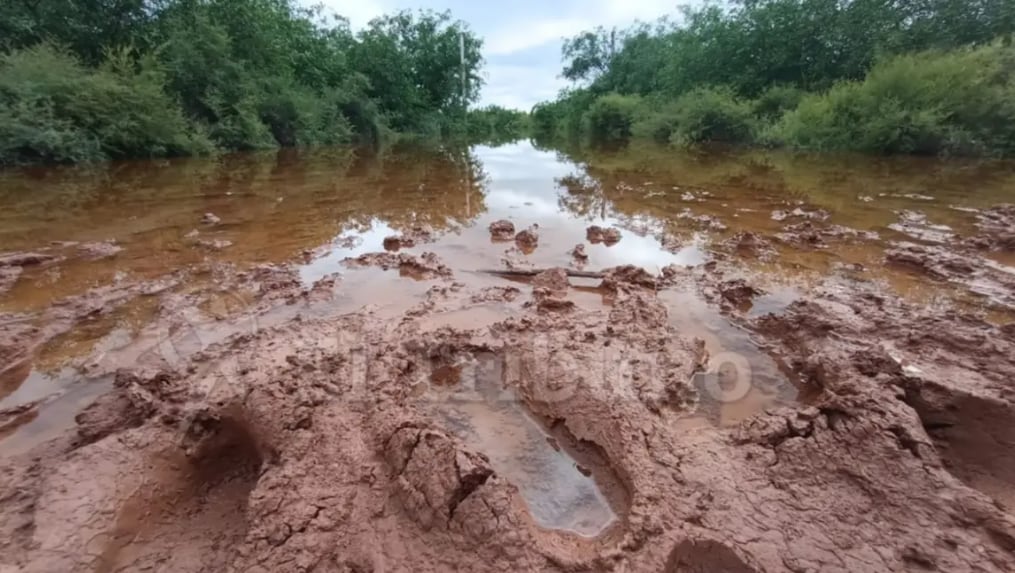 La crecida del Bermejo agrava la emergencia sanitaria en Salta (Fuente: Federico Medaa, El Tribuno)