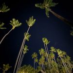 Los días de relax de Cande Molfese en Punta Cana: amor, amigos y aventura tropical