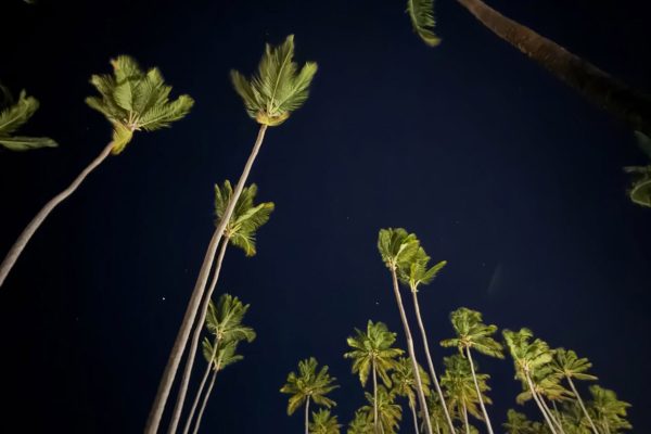 Los días de relax de Cande Molfese en Punta Cana: amor, amigos y aventura tropical