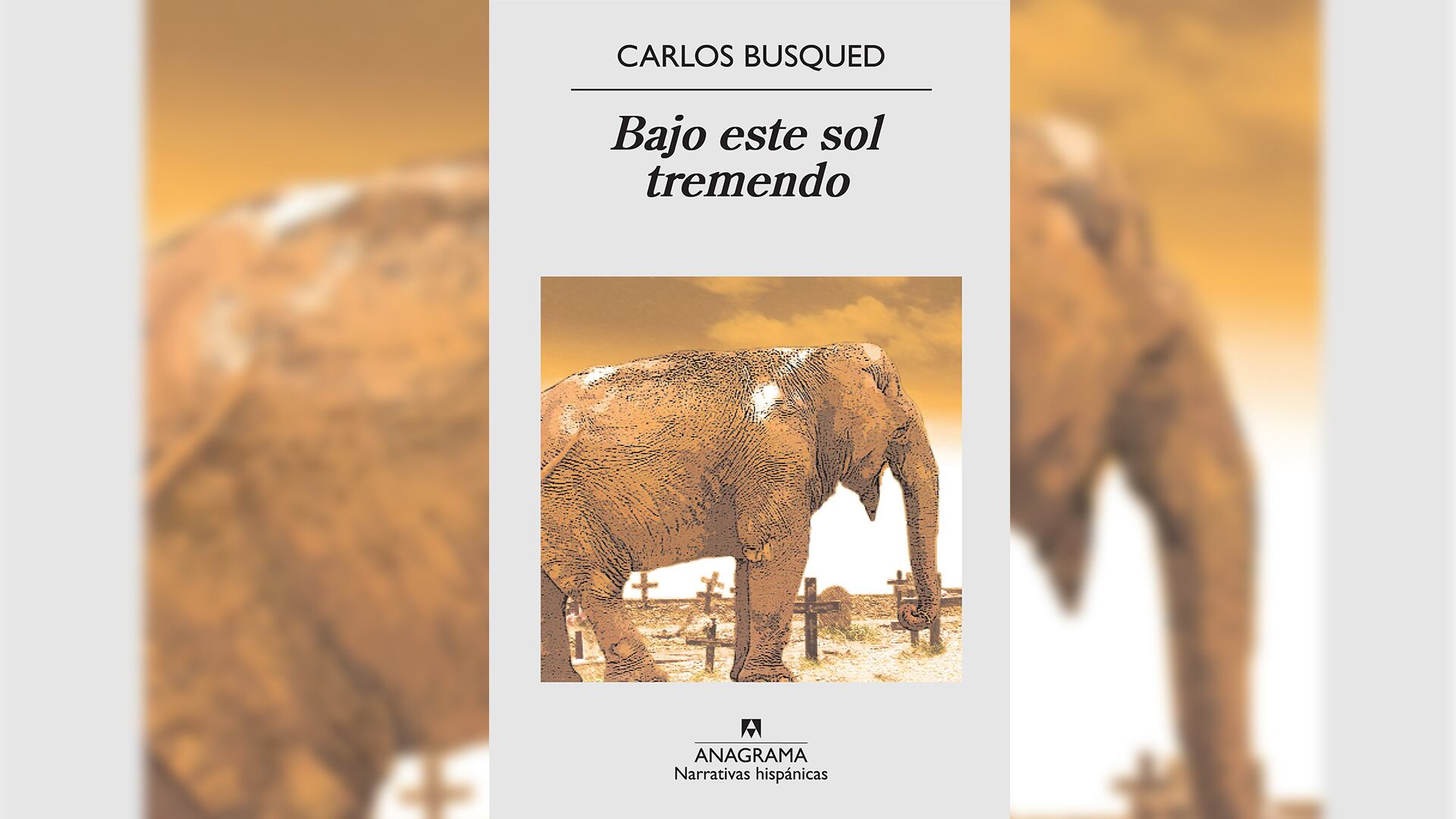 El libro más votado fue