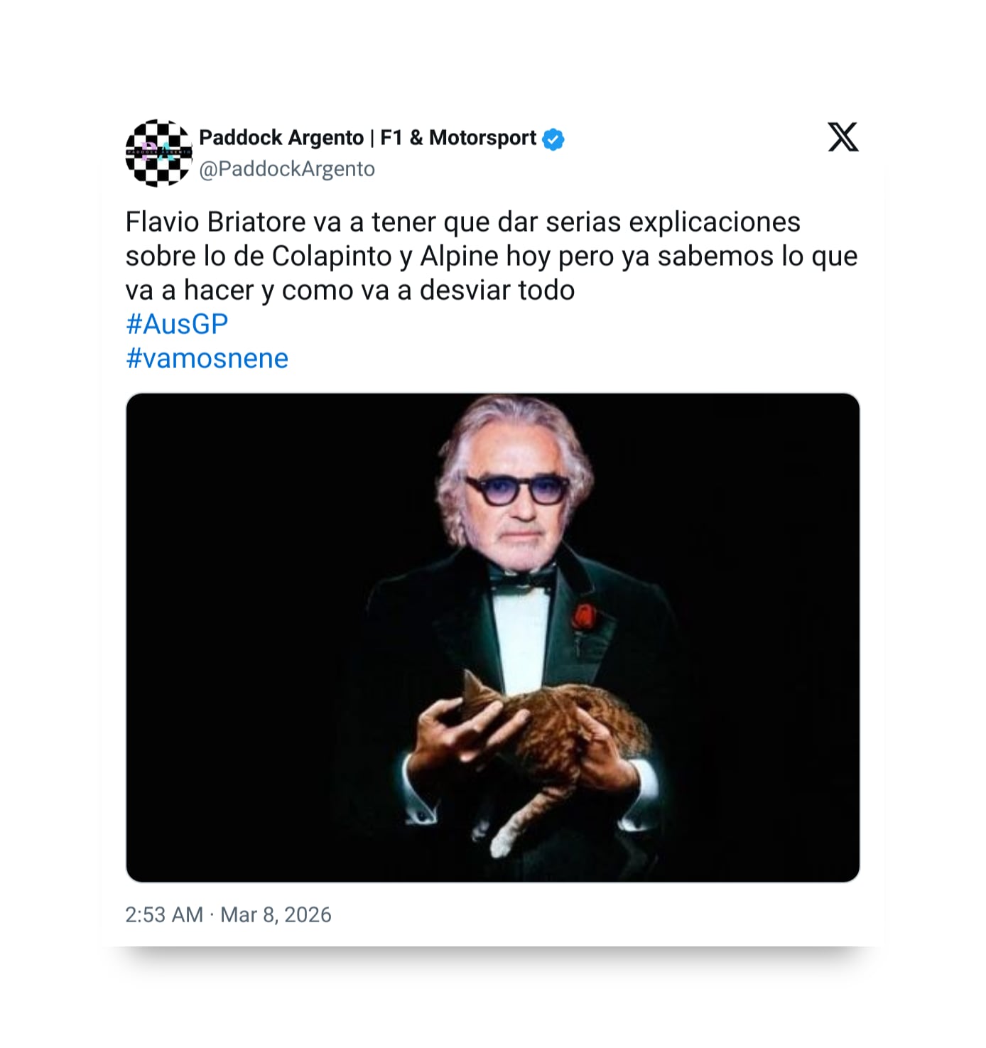 Flavio Briatore, caracterizado como Don Corleone y sosteniendo un gato, se vuelve viral en redes sociales como meme relacionado con la carrera de Franco Colapinto y Alpine en el Gran Premio de Australia.