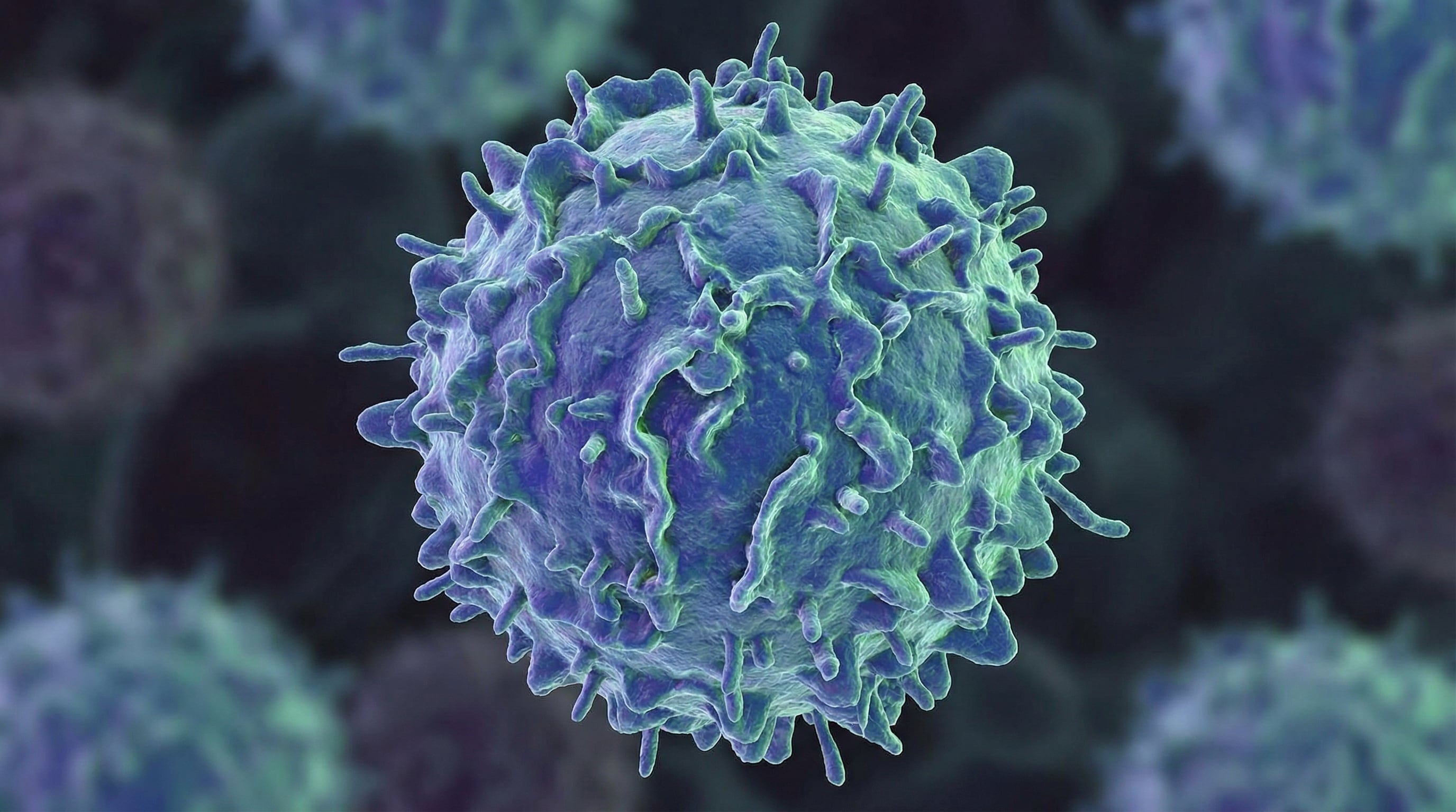 Las células plasmáticas son glóbulos blancos presentes en la médula ósea, el mieloma altera su función y debilita el sistema inmunitario (Imagen Ilustrativa Infobae)