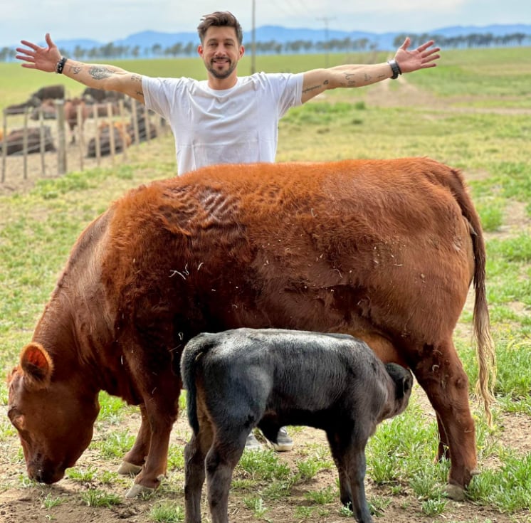 Riboldi afirmó que envió a sus vacas al campo para el engorde, pero no autorizó ningún movimiento