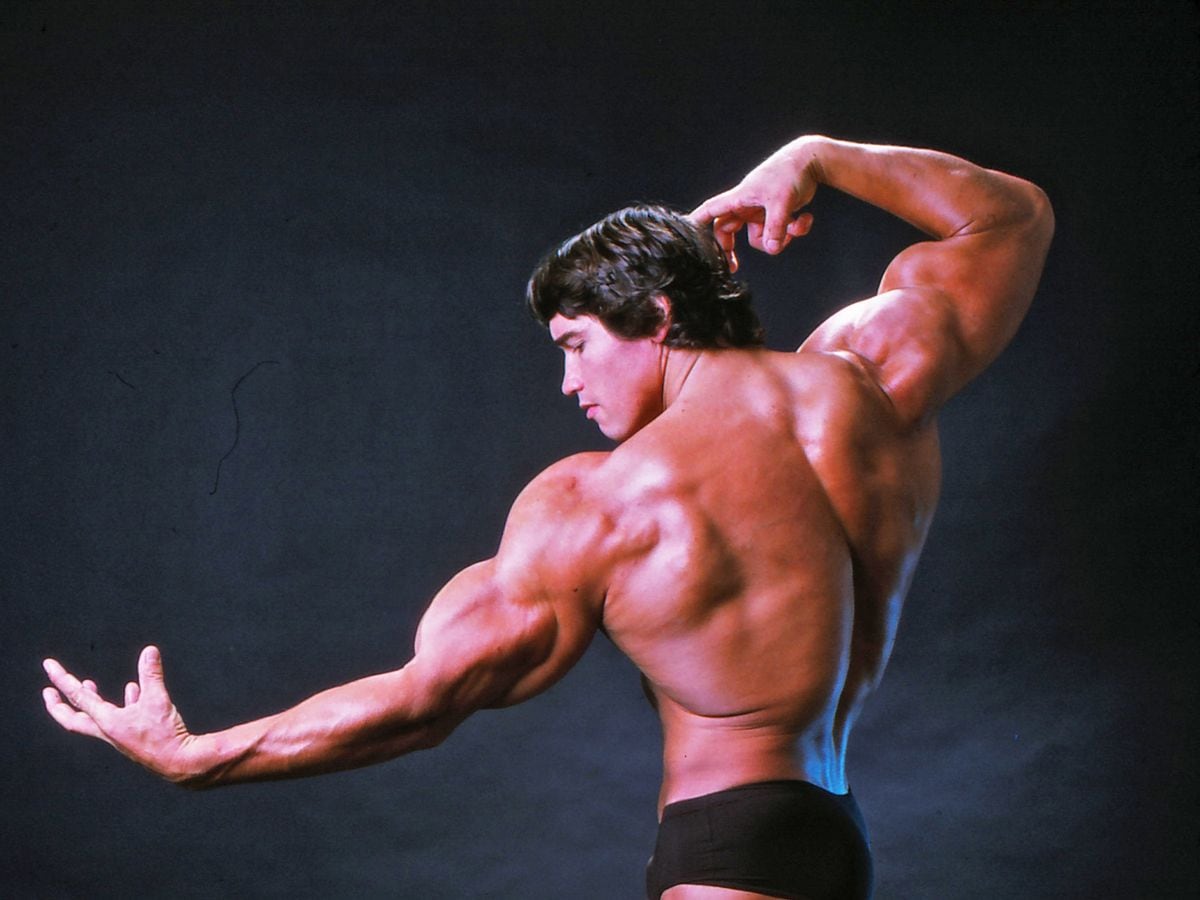 Schwarzenegger considera que el posado es un arte perdido en el culturismo, relegado frente al desarrollo muscular contemporáneo 