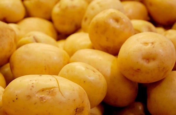 ¿No te gustan los frijoles? Estas siete opciones de alimentos tienen alto contenido de fibra