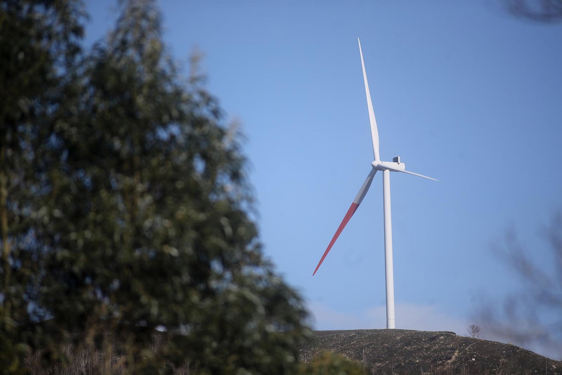 Panamá recibe 71 propuestas para asegurar suministro eléctrico