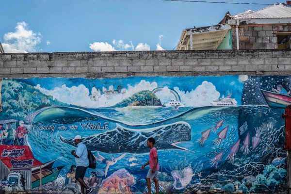 Por primera vez, científicos registraron en video cómo los cachalotes se apoyan mutuamente en el parto