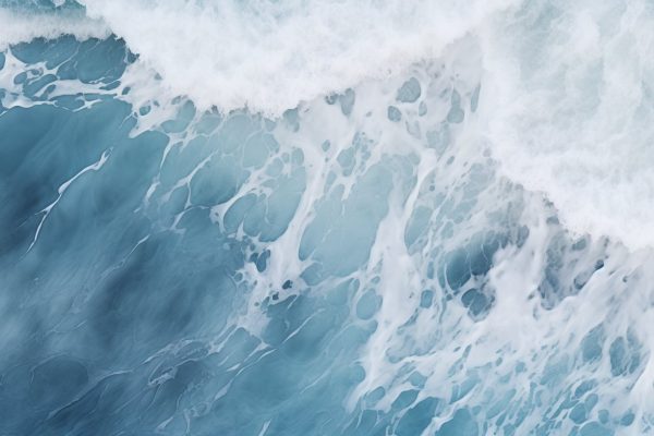 Por primera vez, científicos registraron en video cómo los cachalotes se apoyan mutuamente en el parto