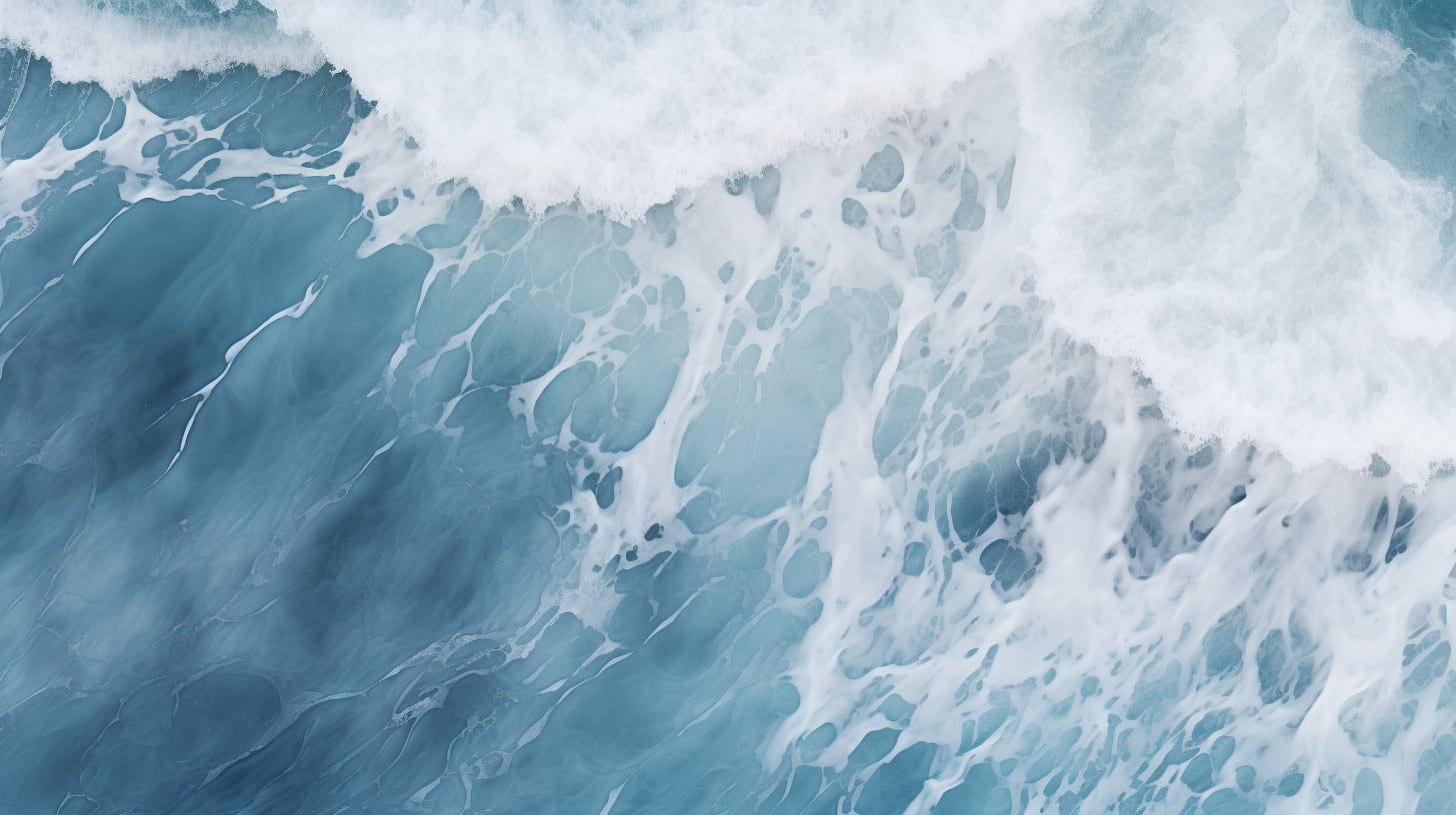 Por primera vez, científicos registraron en video cómo los cachalotes se apoyan mutuamente en el parto