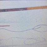 Qué descubrió la Justicia en el caso del chico atado por su madre en La Matanza