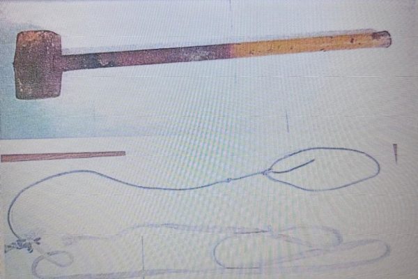 Qué descubrió la Justicia en el caso del chico atado por su madre en La Matanza