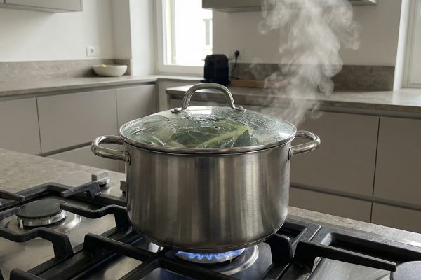 Qué enfermedades ayuda a prevenir la acelga