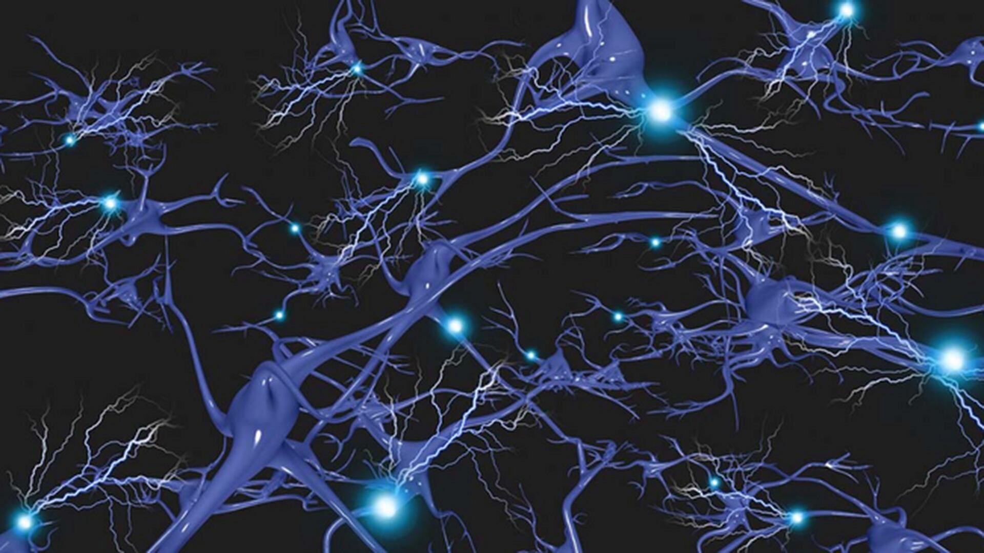 El estudio identifica la transferencia de la proteína tóxica de Huntington entre neuronas como clave en la progresión de la enfermedad. (Huntington’s Disease News)