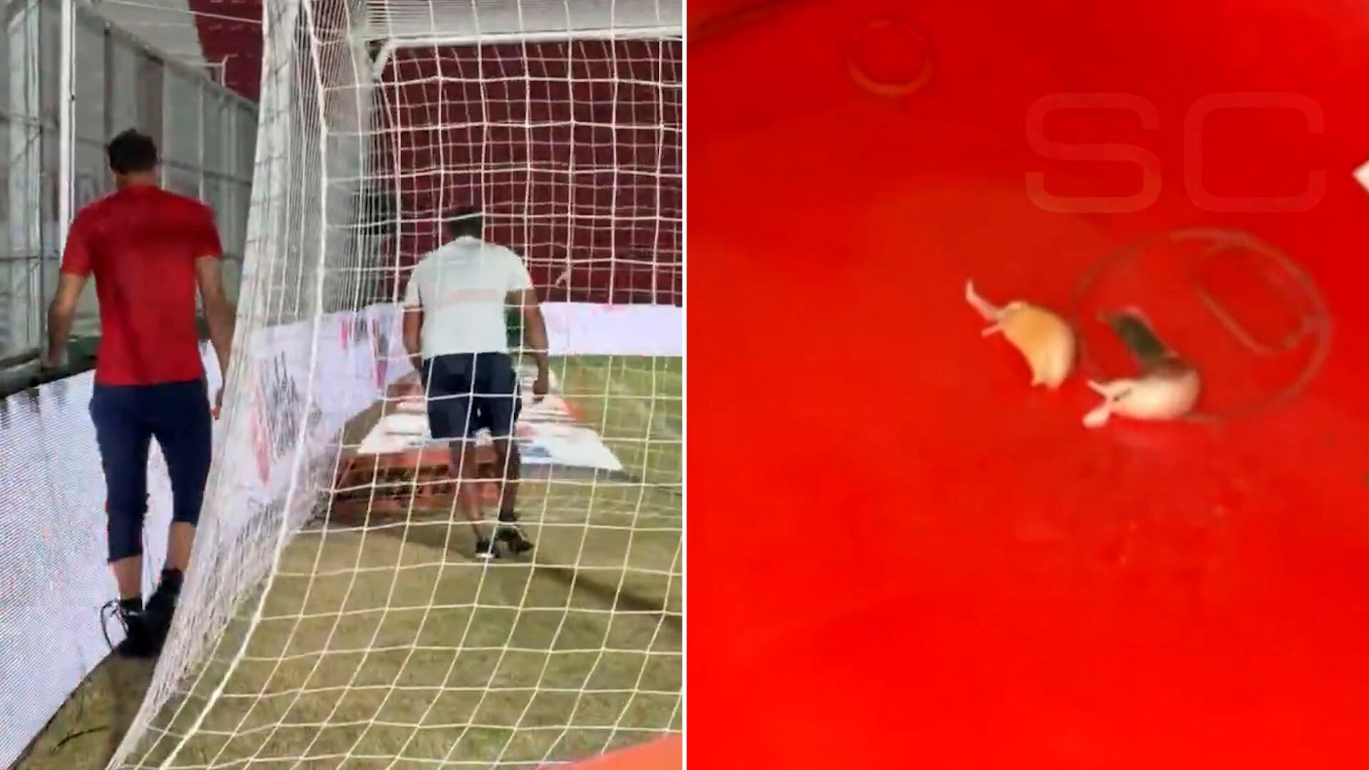 La aparición de dientes de ajo en el estadio de Instituto sorprendió al conjunto visitante (@SC_ESPN)