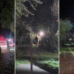 Un árbol de 30 metros cayó sobre una casa en San Martín de Los Andes y dos mujeres se salvaron de milagro