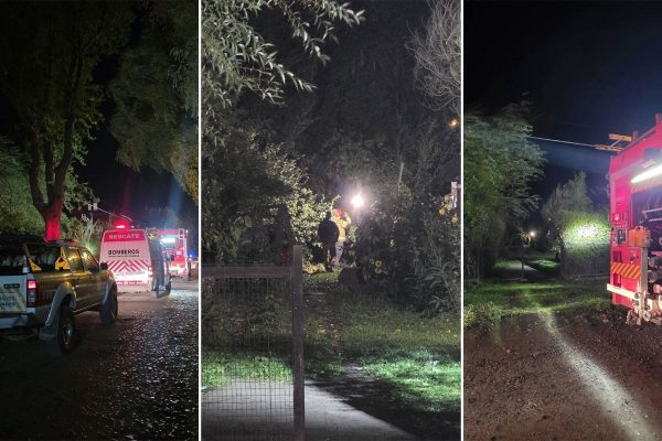 Un árbol de 30 metros cayó sobre una casa en San Martín de Los Andes y dos mujeres se salvaron de milagro