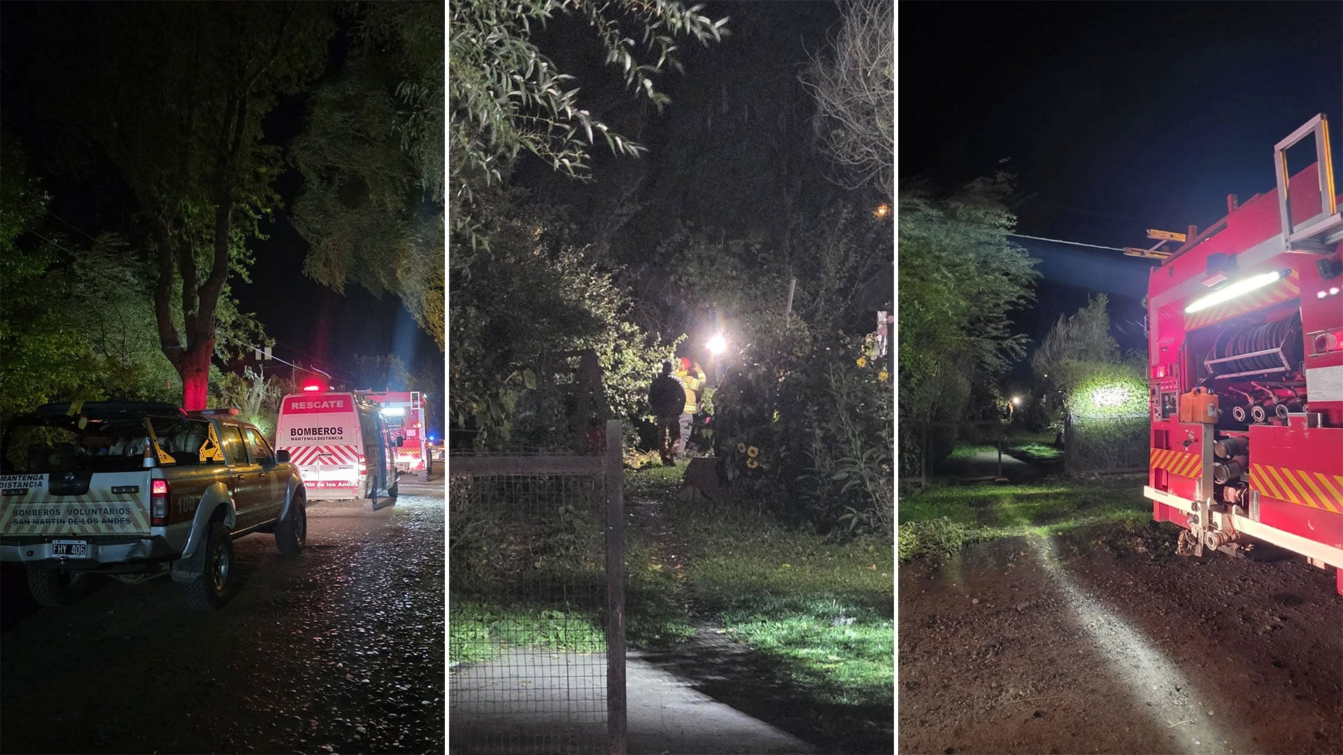 Un árbol de 30 metros cayó sobre una casa en San Martín de Los Andes y dos mujeres se salvaron de milagro