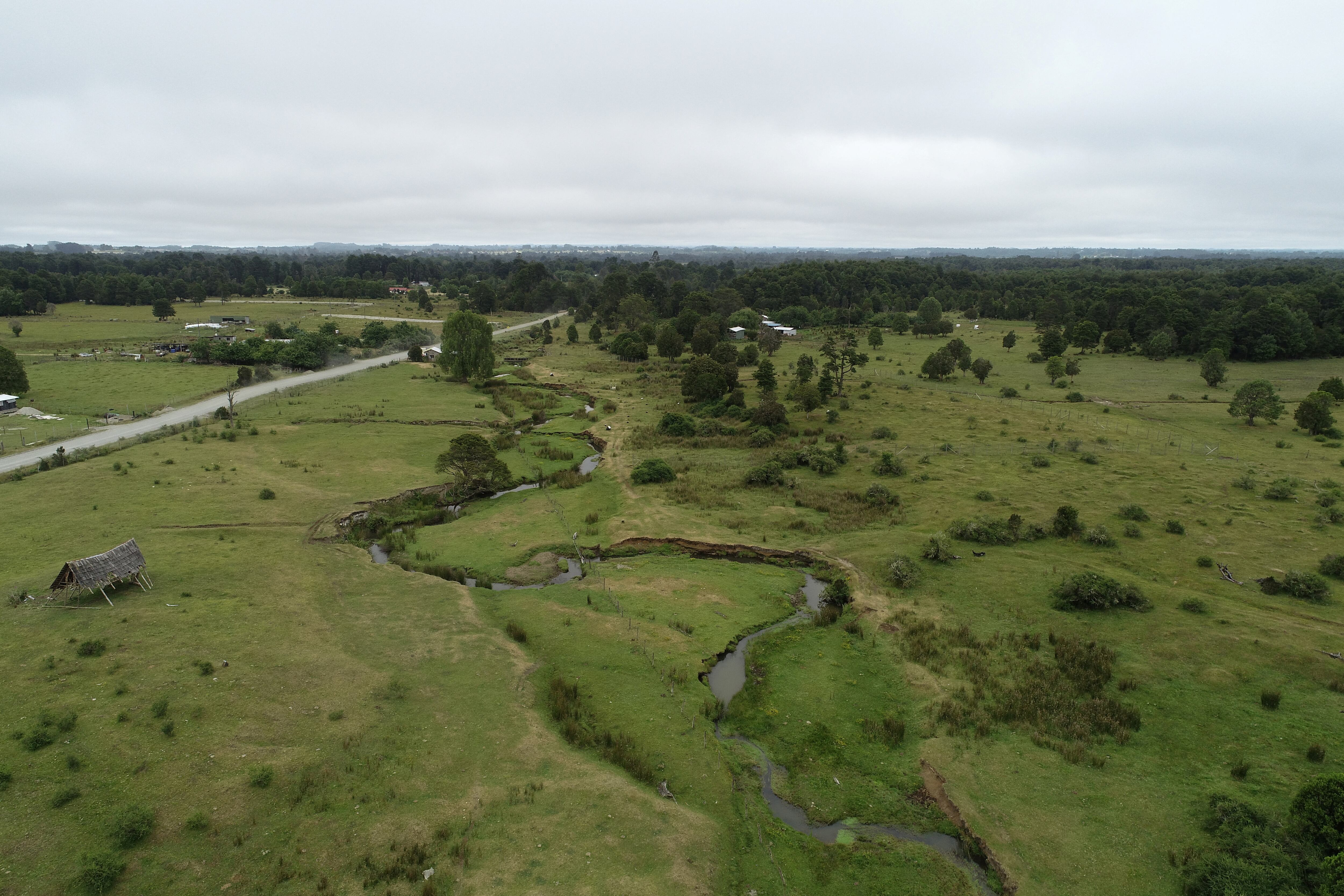La revisión de herramientas líticas reveló similitudes tecnológicas con otros sitios regionales más recientes en el sur de Chile/Todd Surovell/via REUTERS