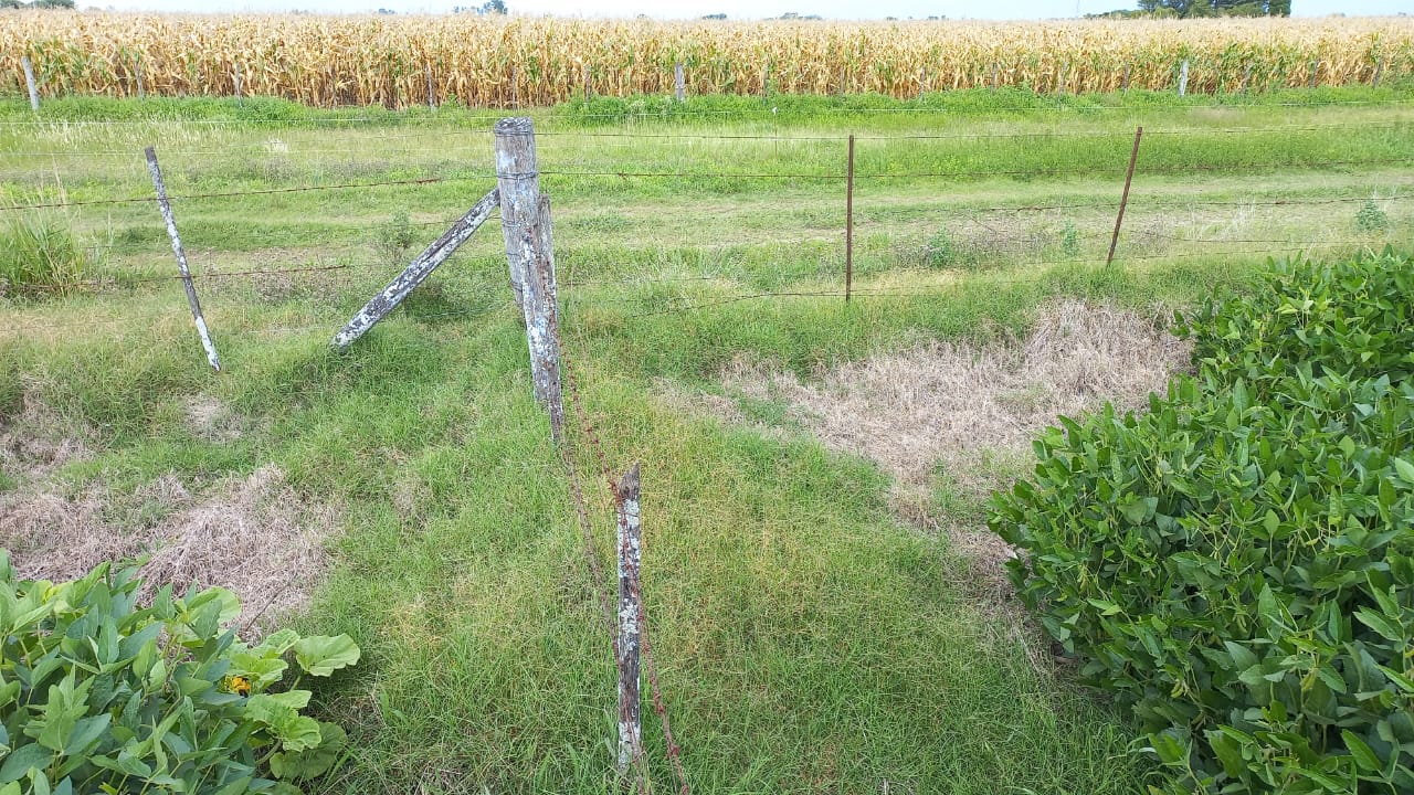 Un nene murió en la localidad correntina de Empedrado luego de tocar un alambre electrocutado (Fauba)