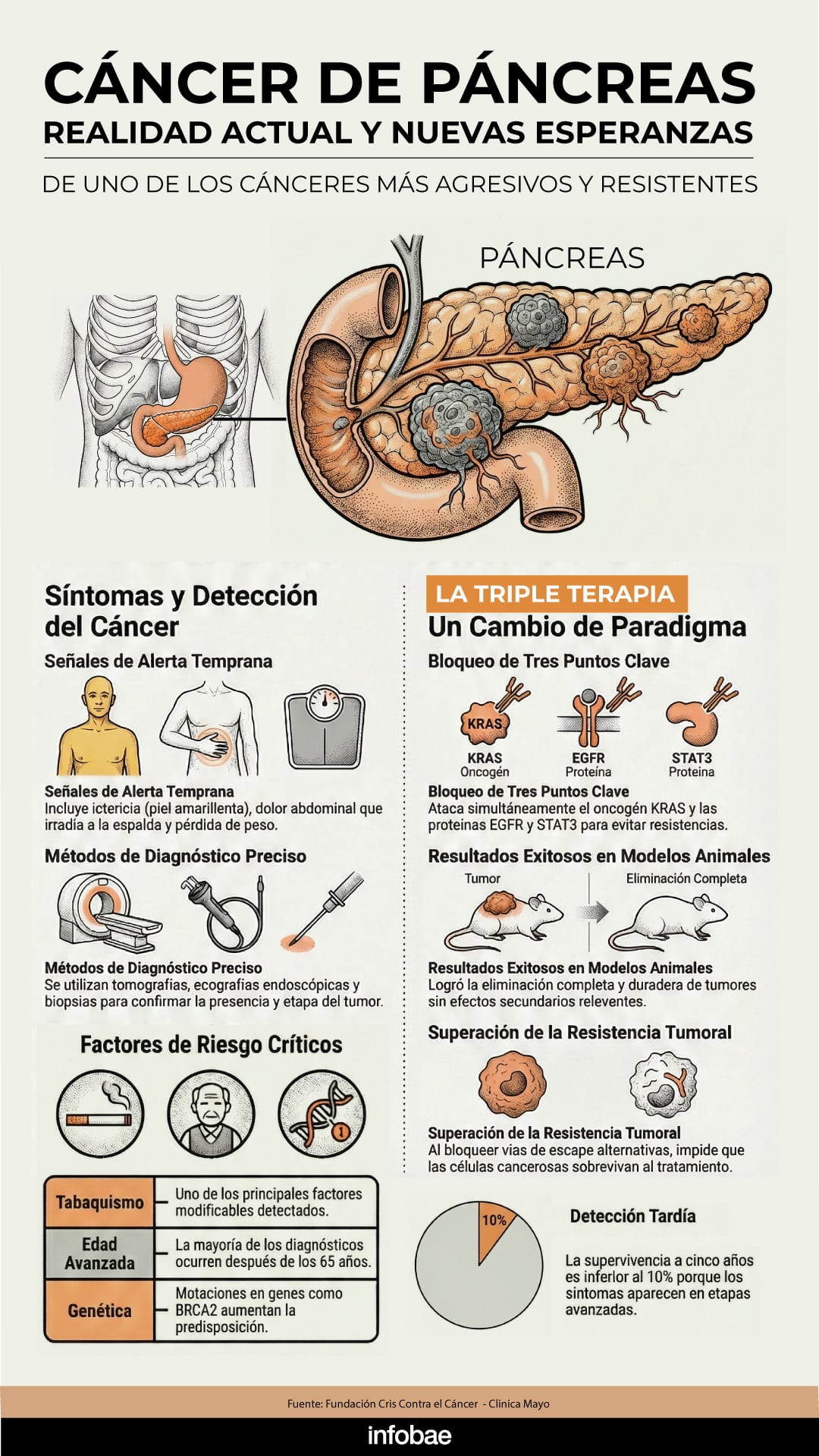 Más del 90 por ciento de los cánceres de páncreas tienen mutaciones en el gen KRAS, clave para el desarrollo de nuevas terapias dirigidas
