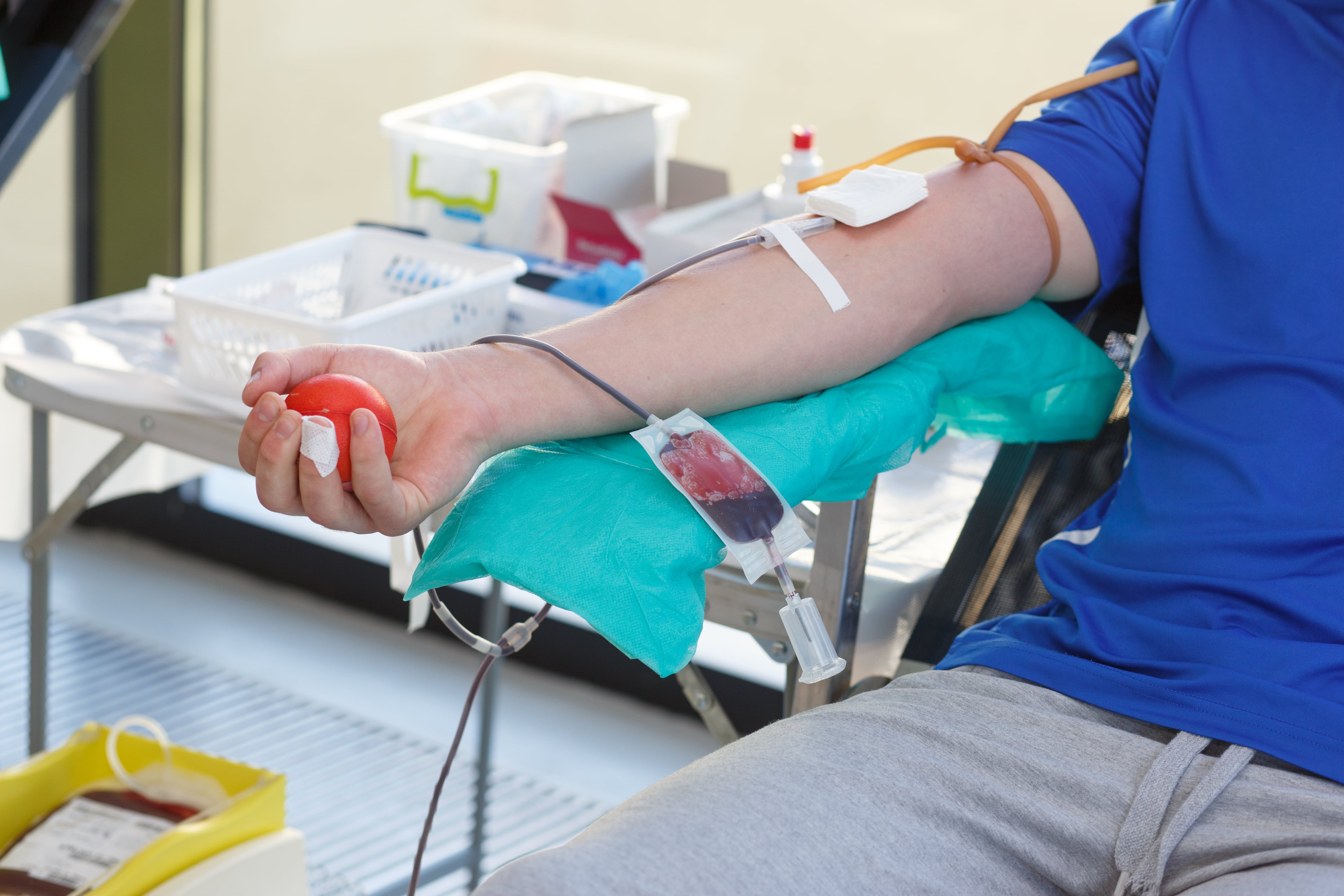 La Resolución N° 536/2026 actualiza regulaciones después de más de diez años, impulsando un modelo moderno de donación de sangre (Freepik)