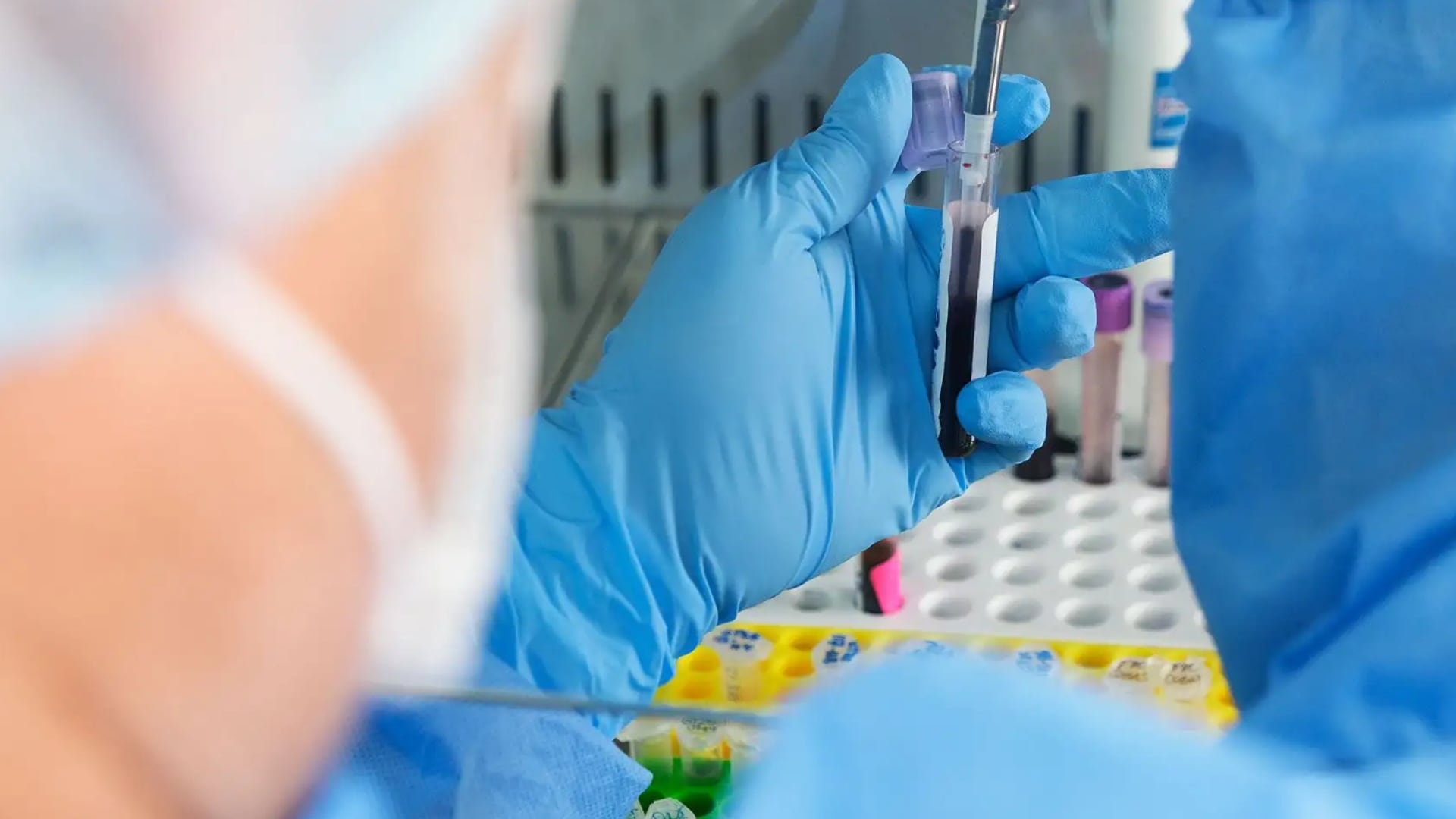 Científicos de once países elaboraron el primer mapa genético de los pueblos indígenas de Sudamérica. Revelaron una diversidad genética más compleja de lo que se creía./Archivo