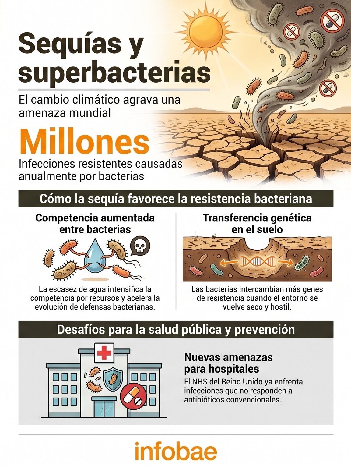 
El análisis científico encontró que la competencia entre bacterias en suelos afectados por sequía estimula mecanismos evolutivos que pueden dificultar el tratamiento de infecciones en humanos, subrayando la importancia de la vigilancia ambiental (Imagen Ilustrativa Infobae)