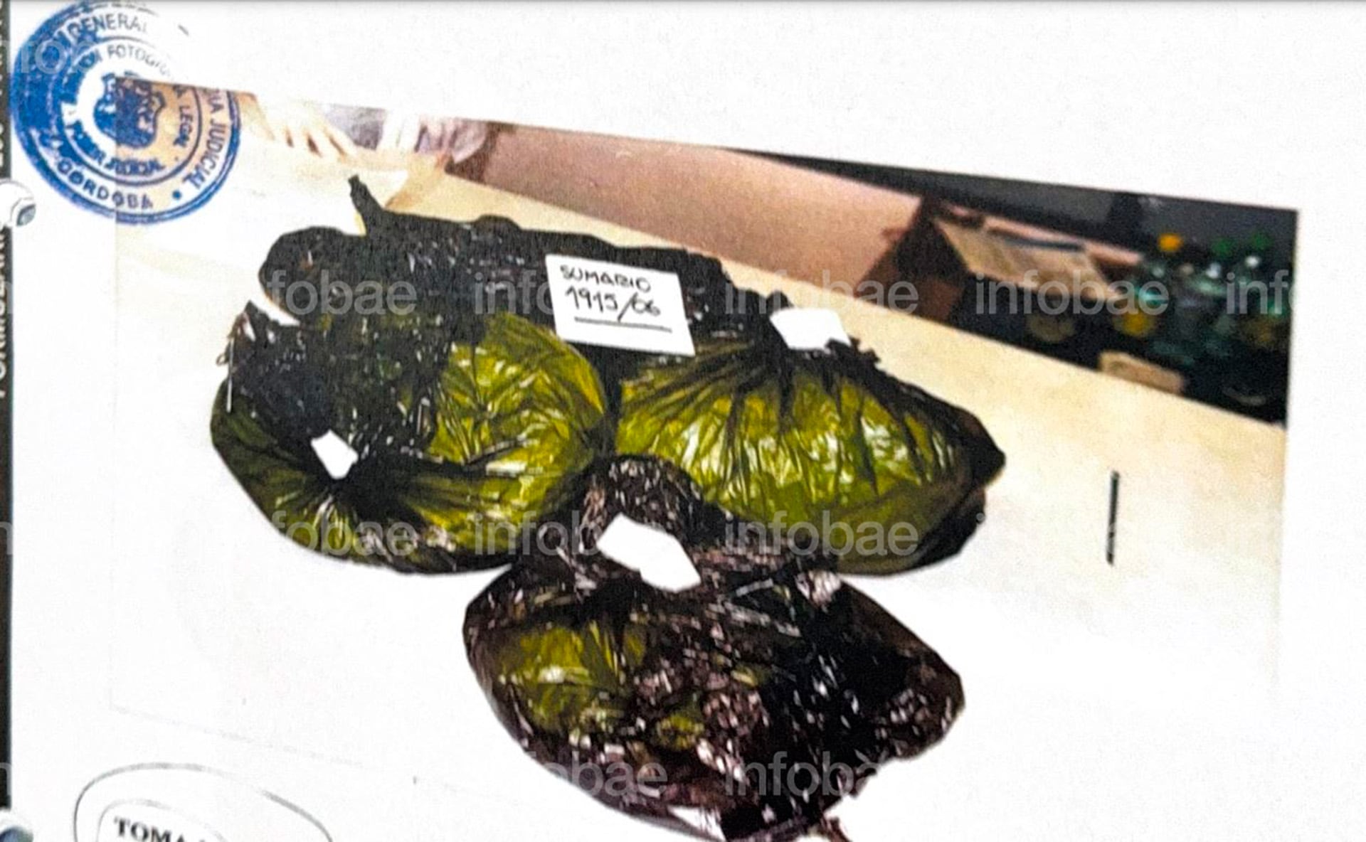 Evidencias del caso Dalmasso