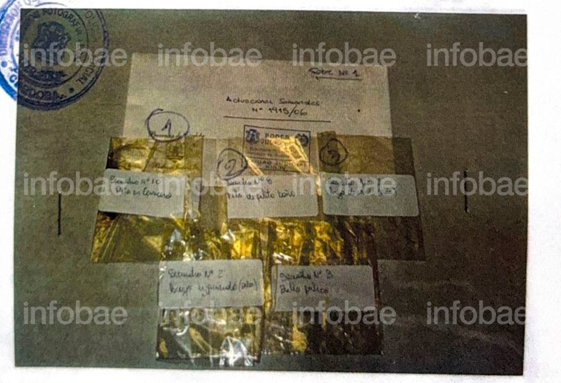 Clasificado bajo secuestro N°3, el vello púbico que pertenecería a Roberto Bárzola