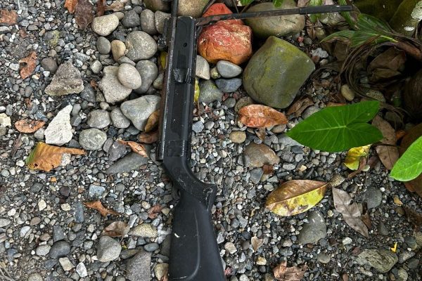 Desarticulan organización criminal por tráfico de drogas y legitimación de capitales en Costa Rica