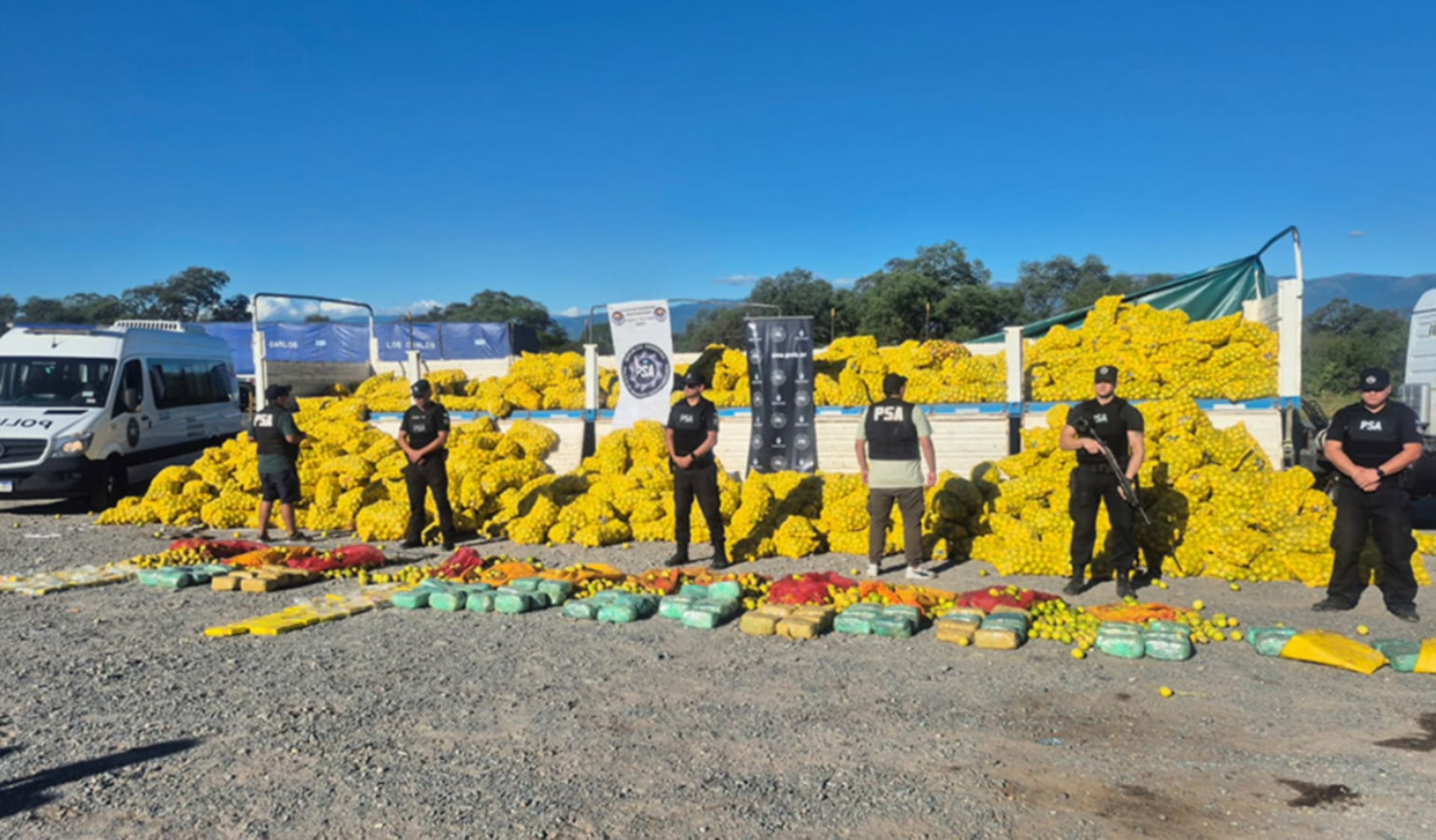 Autoridades policiales incautaron una gran cantidad de drogas que estaban escondidas entre bolsas de limones en un camión, desarticulando una banda de narcotraficantes en Salta (Fiscales.gob.ar)