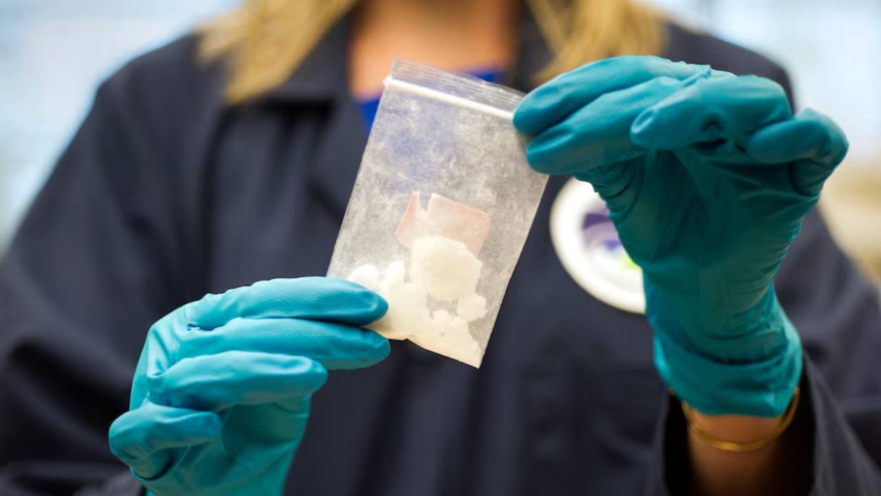 Una persona con guantes azules sostiene una bolsa de plástico transparente con pequeñas piezas de fentanilo blanco (AP)