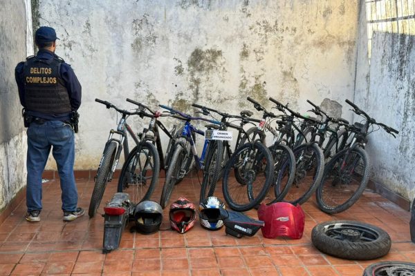 Golpe al narcotráfico en Mar del Plata: cayó una banda tras un operativo con 30 allanamientos y 17 detenidos