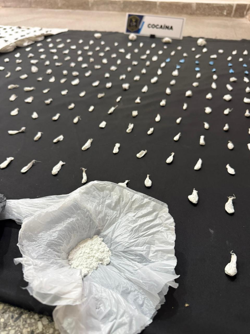 Parte de la droga secuestrada en los procedimientos