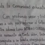 La familia de la nena que tropezó en un colegio y murió decidió donar sus órganos: el desgarrador mensaje del papá