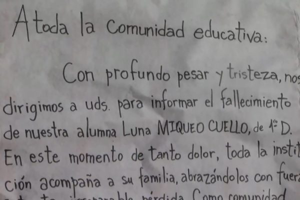 La familia de la nena que tropezó en un colegio y murió decidió donar sus órganos: el desgarrador mensaje del papá