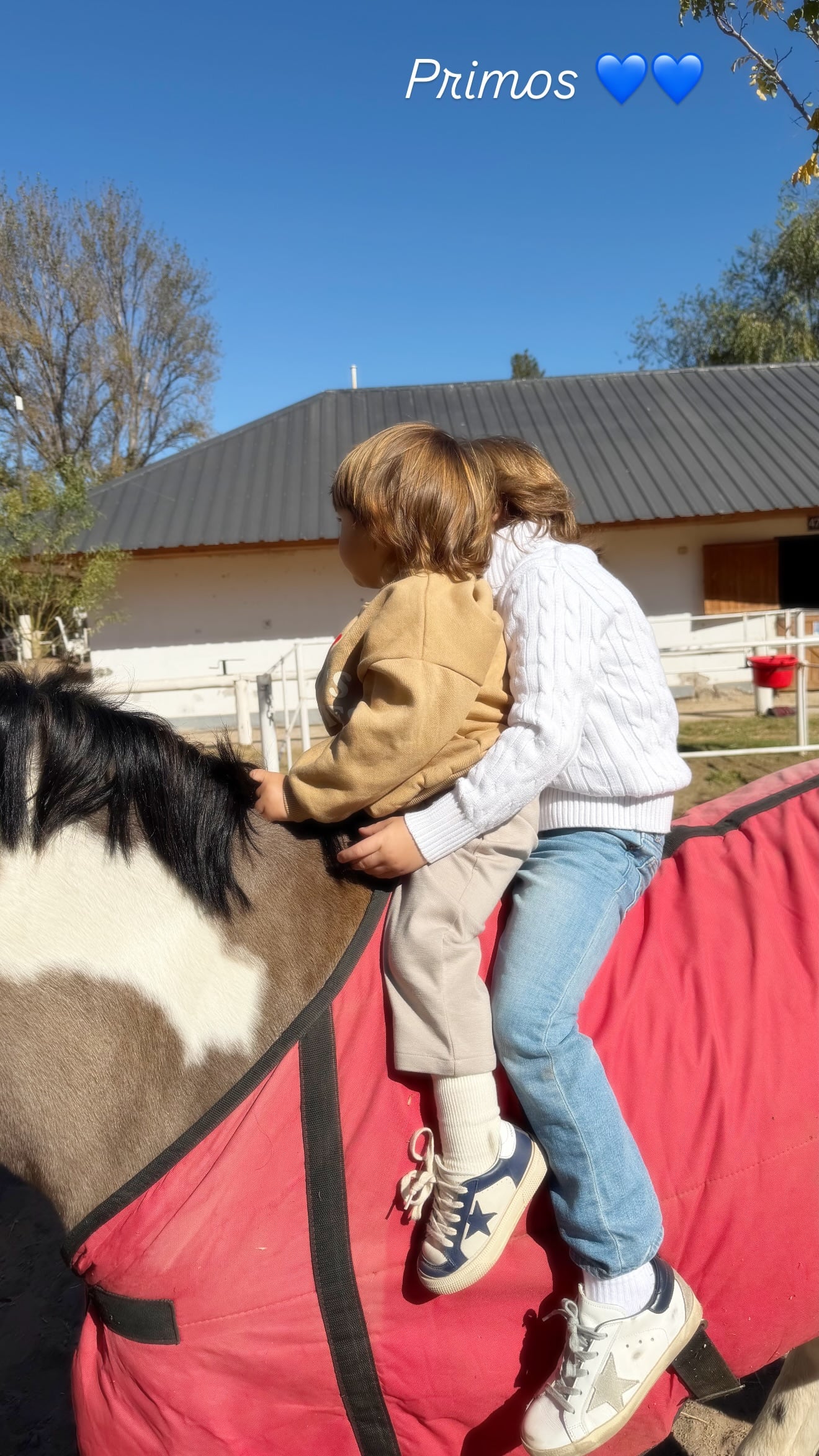 Nicole Neumann eligió viajar a Neuquén con su hijo Cruz y se ausentó del cumpleaños familiar de Allegra (Instagram)