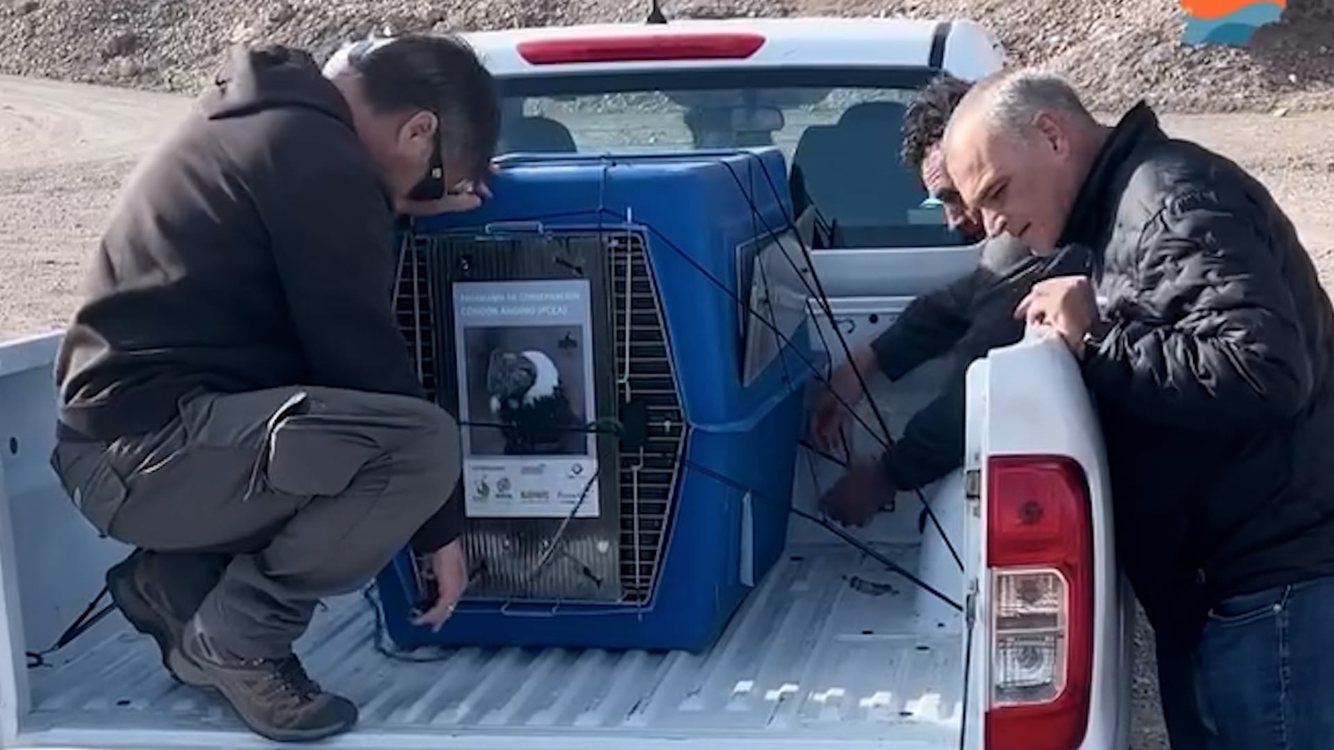 El secretario de Ambiente de Chubut destacó la importancia de preservar la fauna local mediante acciones conjuntas y la logística del lugar elegido para la liberación