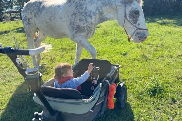 Mates, naturaleza y amor de hermanos: las fotos más tiernas de Calu Rivero junto a sus hijos en el campo