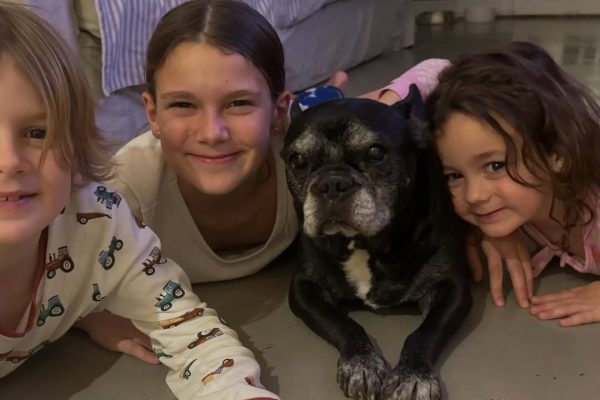 Murió Moro, el perro de 15 años de Paula Chaves y Pedro Alfonso: “El principio de esta familia”