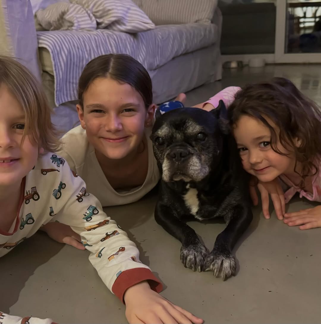 Murió Moro, el perro de 15 años de Paula Chaves y Pedro Alfonso: “El principio de esta familia”